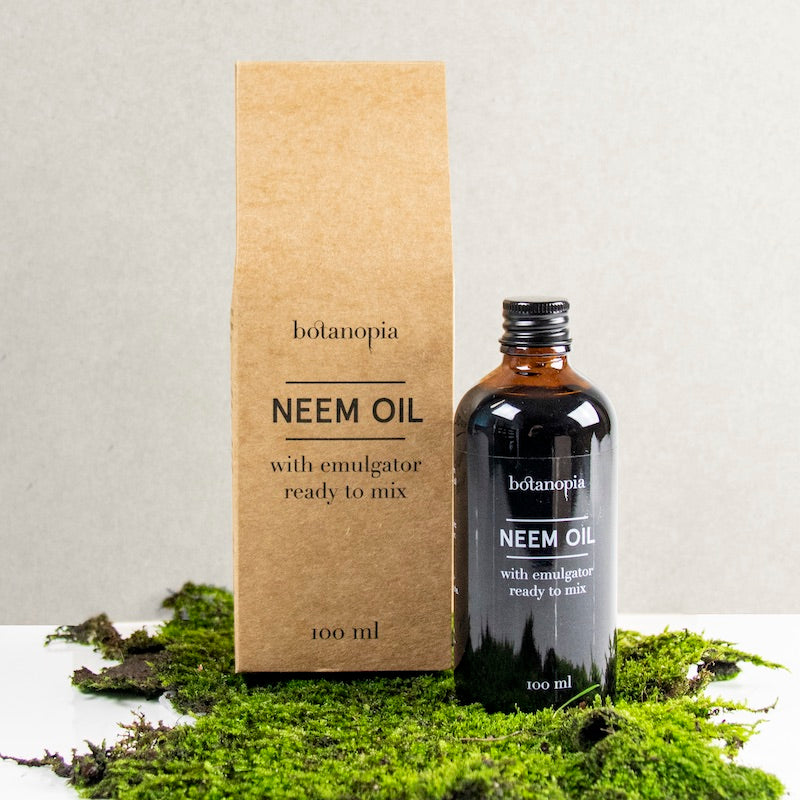 Organische neemolie met natuurlijke emulgator, 250 ml, gebruiksklaar, koudgeperst, 100% natuurlijk, milieuvriendelijk, incl. spuitfles en maatbeker, plantenverzorging voor kamer- en tuinplanten Organische neemolie met natuurlijke emulgator, 250 ml, gebruiksklaar, koudgeperst, 100% natuurlijk, milieuvriendelijk, incl. spuitfles en maatbeker, plantenverzorging voor kamer- en tuinplanten