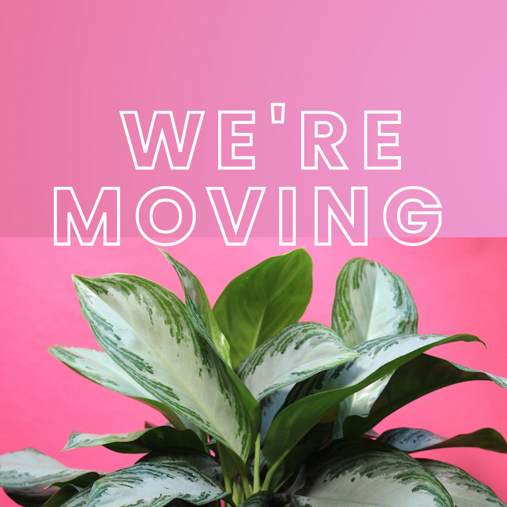 Woohoo! Our new shop is opening this August!