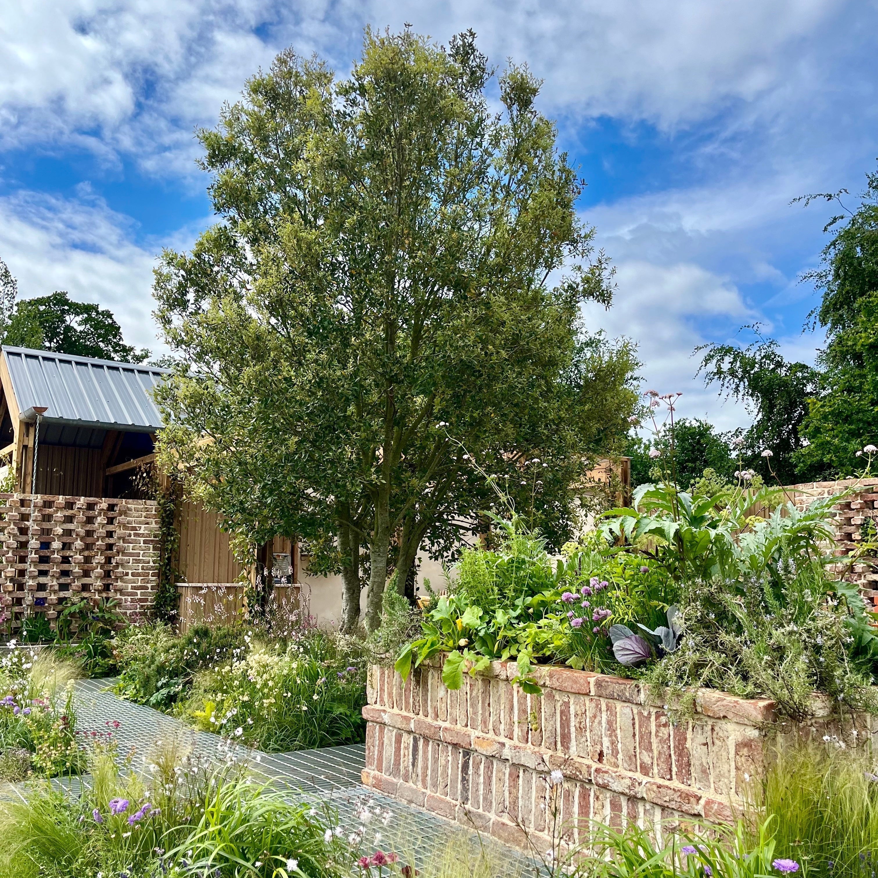 Our favourite show gardens from Bord Bia Bloom 2025