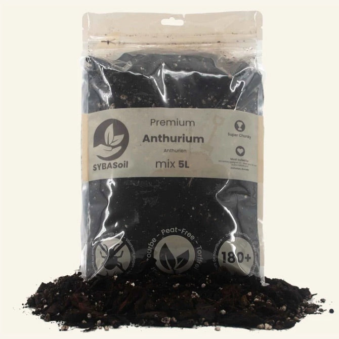 Anthurium soil mix (5 litres)