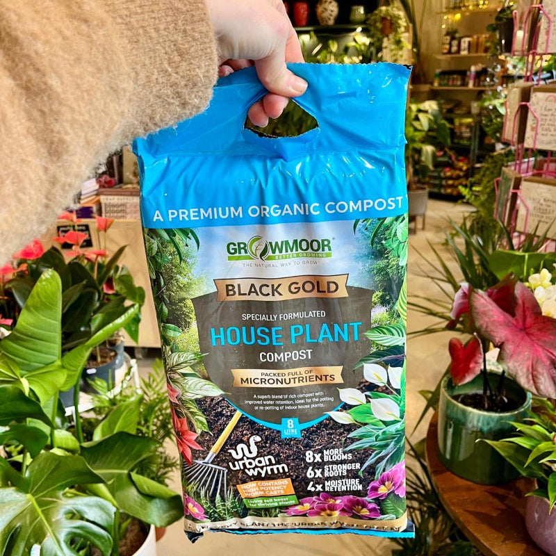 house plants compost Houseplant compost by Growmoor (8 Litres) – Hopeless Botanics