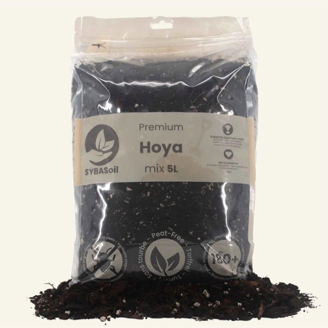 Hoya soil mix (5 litres)