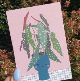 Polka dot plant Postcard