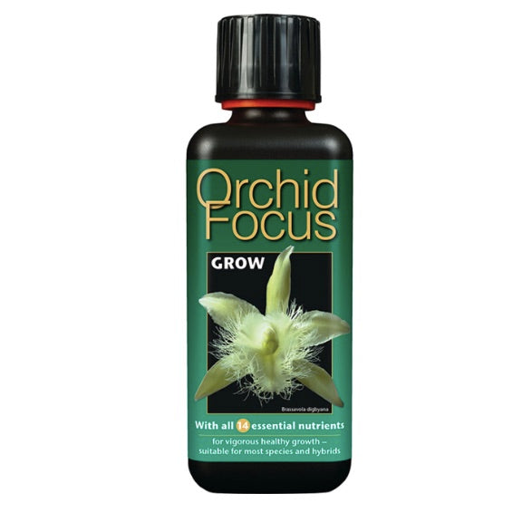 Orchid focus grow