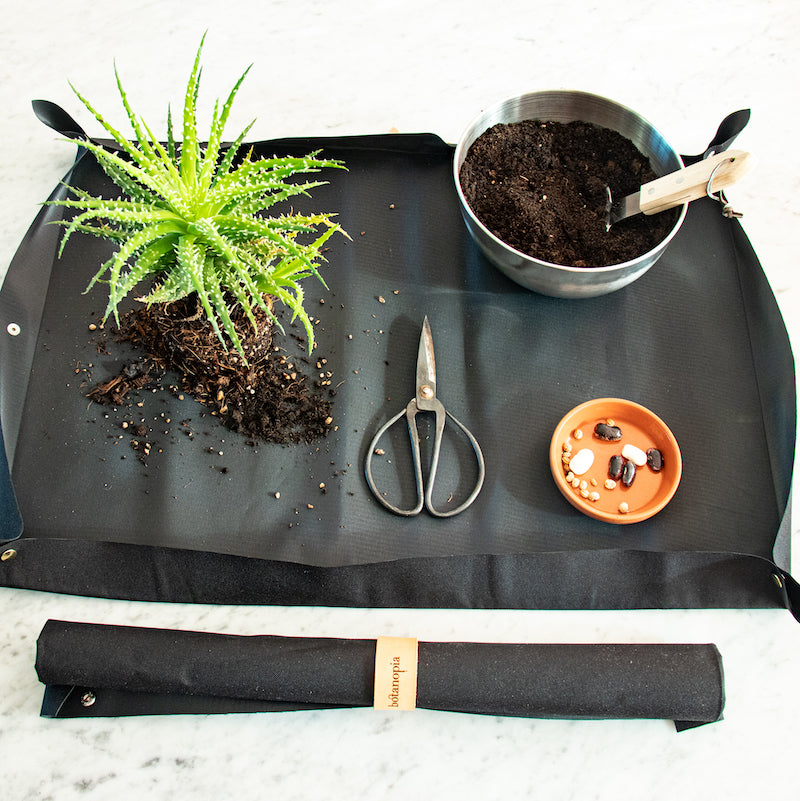 potting tarp Potting tarp – Hopeless Botanics