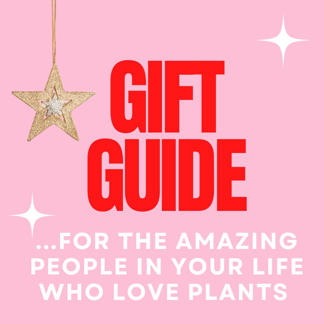 Some fun and thoughtful gift ideas!