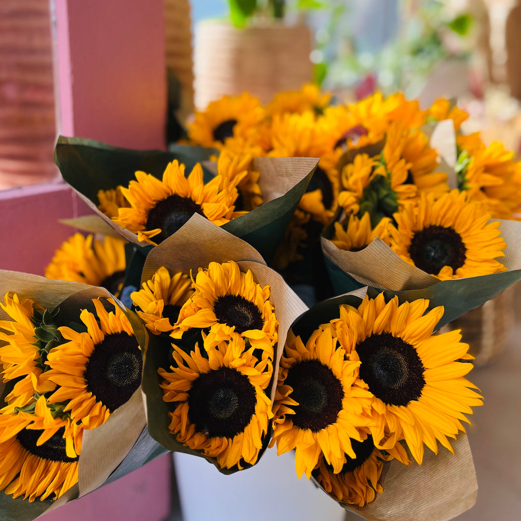 Group of fresh cut sunflower bunches at Hopeless Botanics. We're hiring soon!