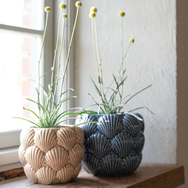 Shell Pot ⌀11cm