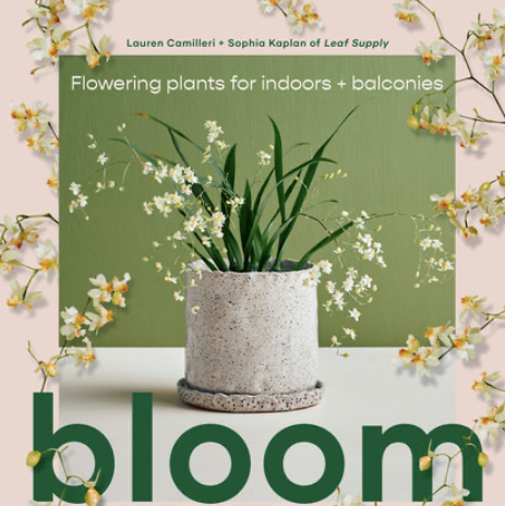 'Bloom: Flowering plants for indoors and balconies'