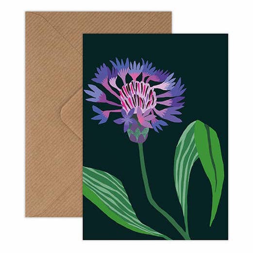 Mountain Cornflower Mini Card Pack