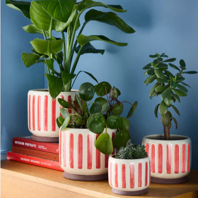 Red Stripe Indoor Pot (various sizes)