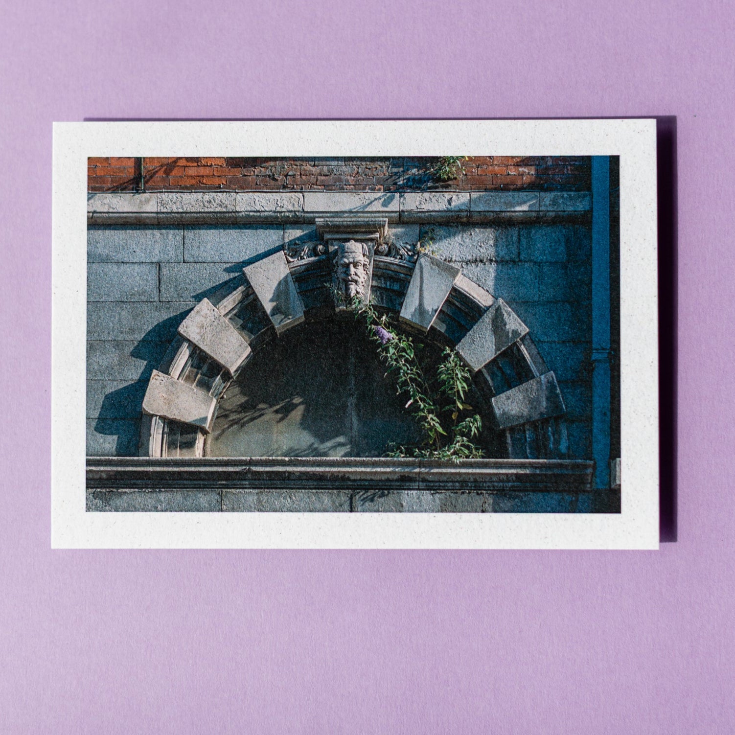 Resist: Limited Edition Photographic Postcard Set