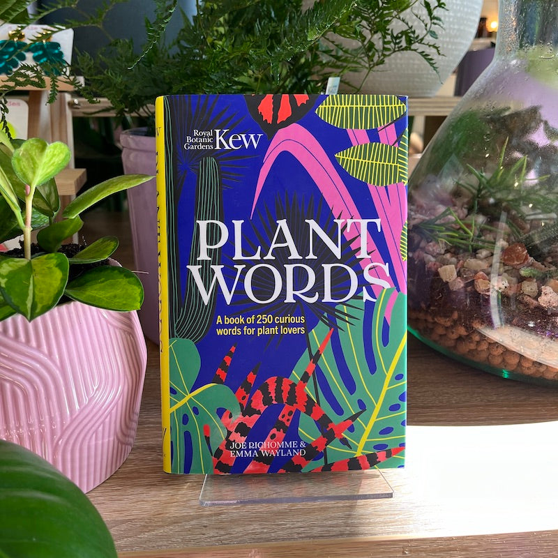 'Plant Words' by Joe Richomme & Emma Wayland