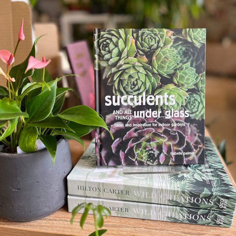 Succulents and all things under glass book