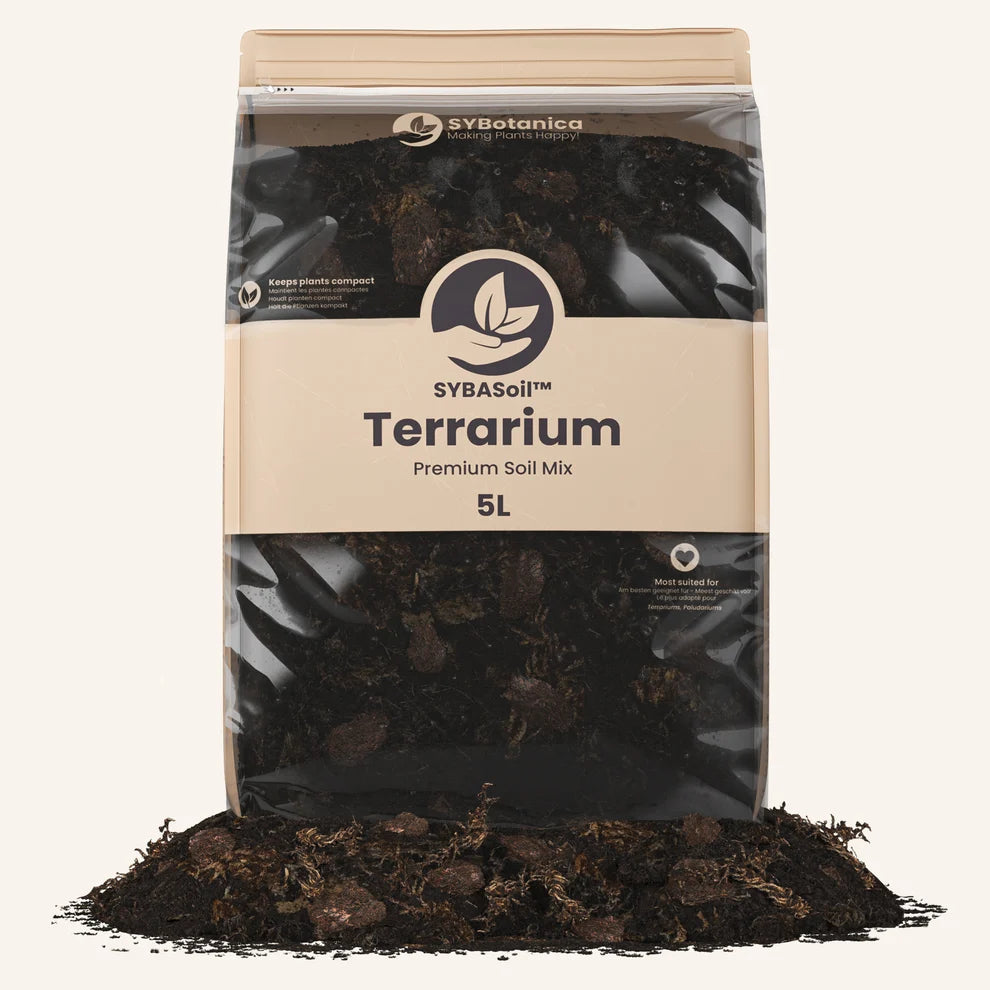 Terrarium mix (5 litres)