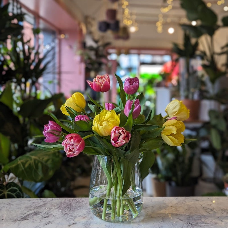 Tulip mixed colours pinks yellow bouquet in glass vase Hopeless Botanics 