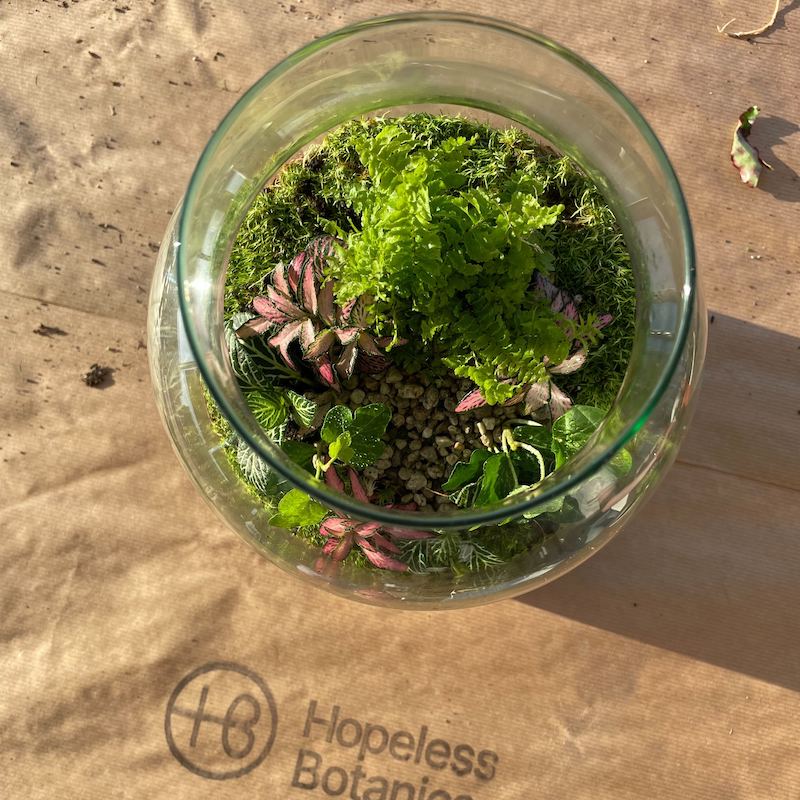 Terrarium workshop