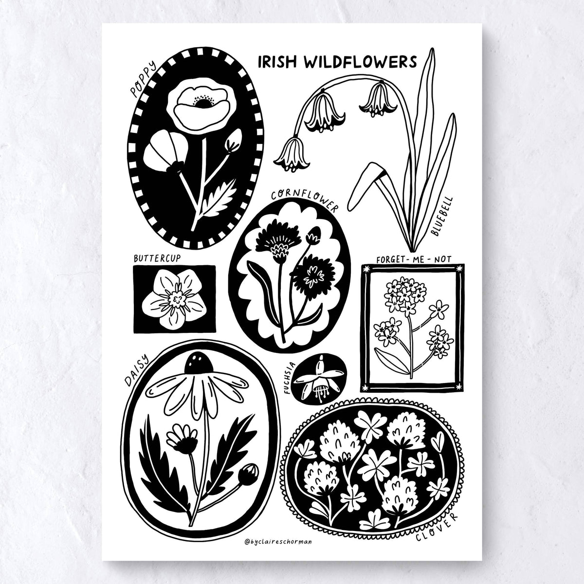 Irish Wild Flowers Art Print