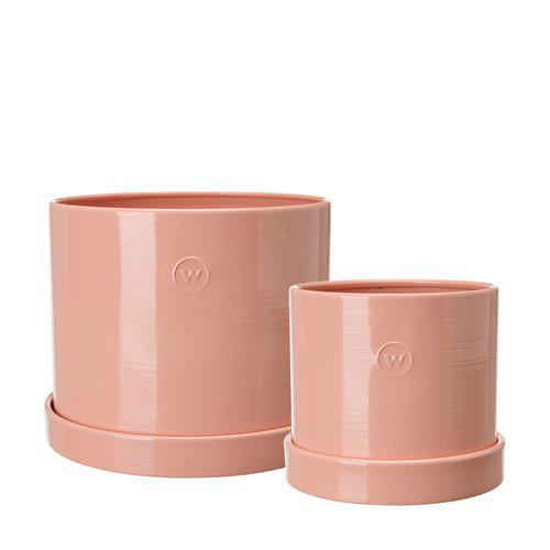 Alicia Pot