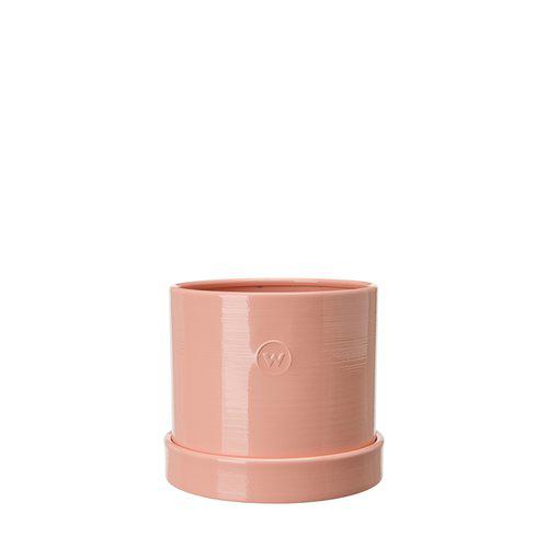 Alicia Pot