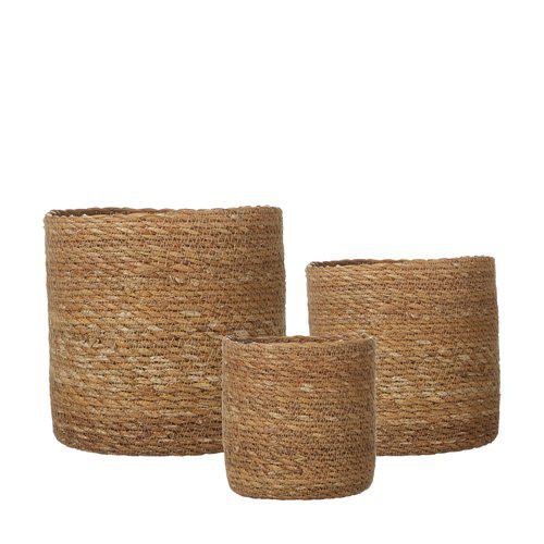 Belle Pots