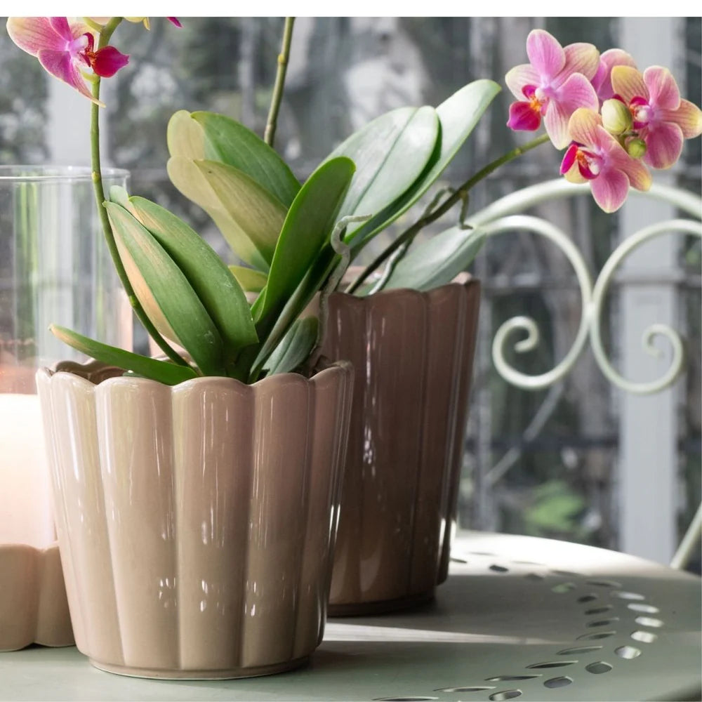 Edna pot Beige ⌀12cm