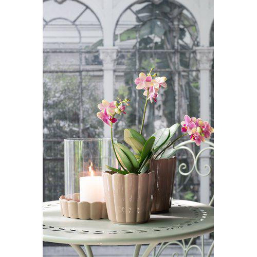 Edna pot Beige ⌀14cm