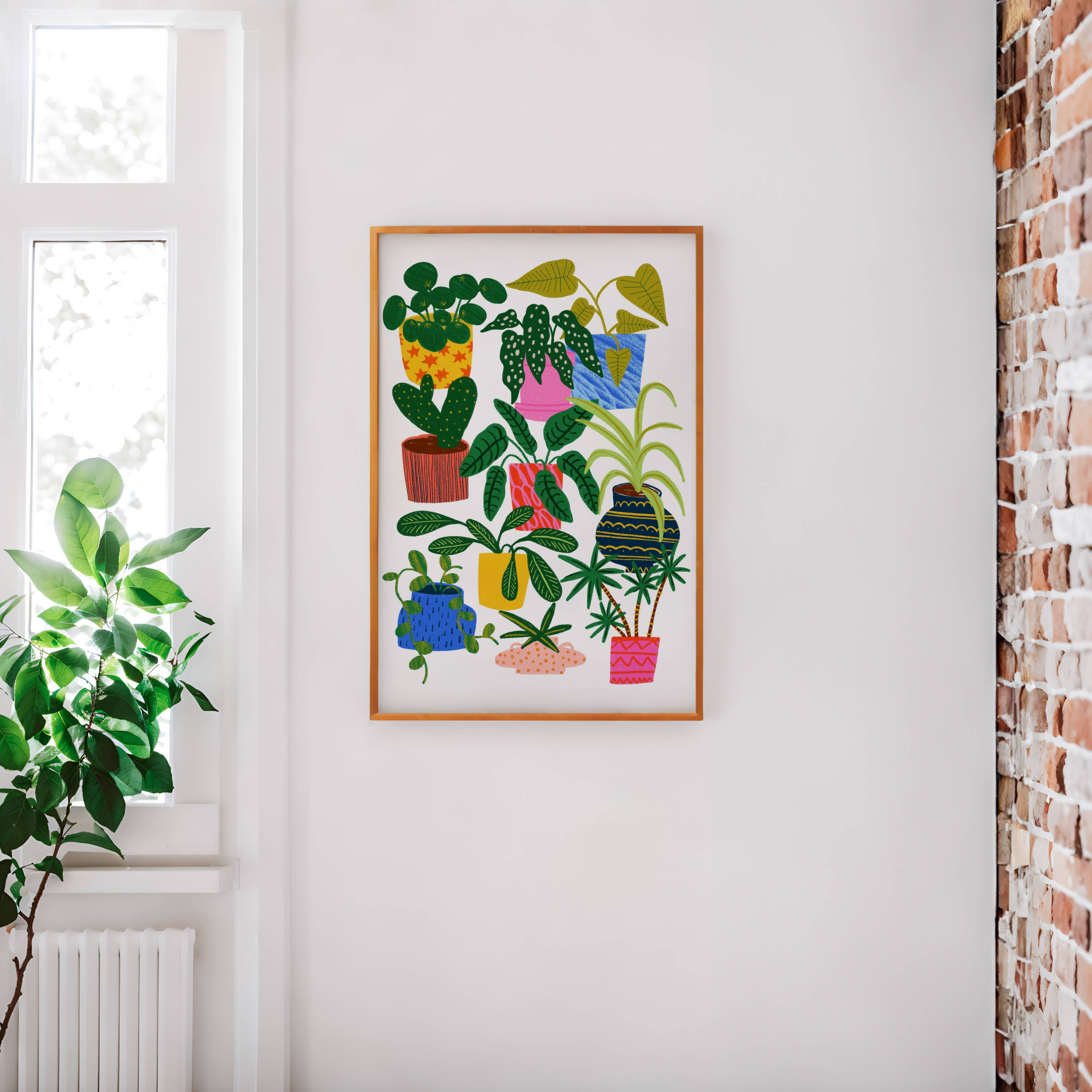 House Plant Collection Art Print
