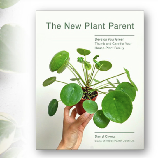 'The New Plant Parent'